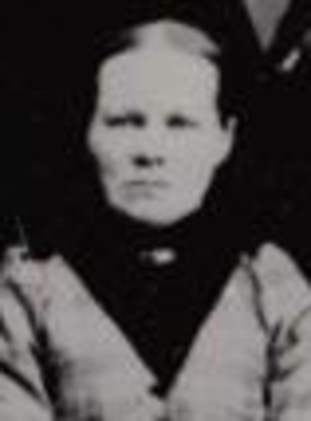 Anna Matilda Jensen (1859 - 1953) Profile